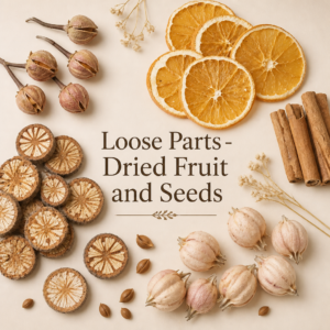 Dried Fruit and Seeds